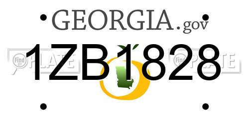 1ZB1828 Georgia License Plate