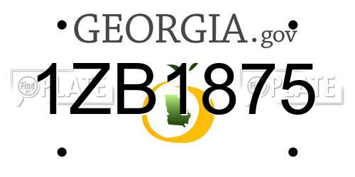 1ZB1875 Georgia License Plate