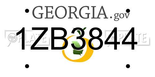 1ZB3844 Georgia License Plate