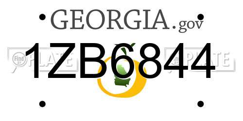 1ZB6844 Georgia License Plate