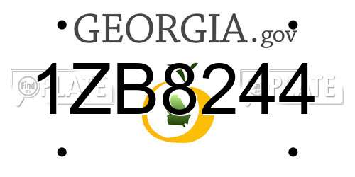 1ZB8244 Georgia License Plate