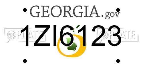 1ZI6123 Georgia License Plate