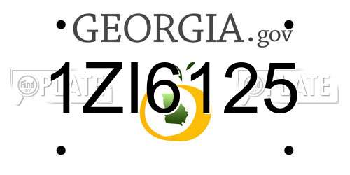 1ZI6125 Georgia License Plate