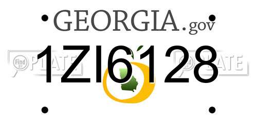 1ZI6128 Georgia License Plate