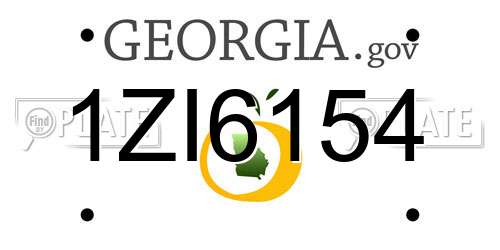 1ZI6154 Georgia License Plate