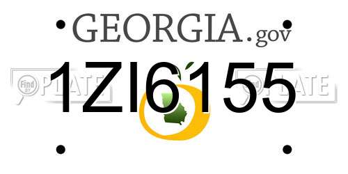 1ZI6155 Georgia License Plate