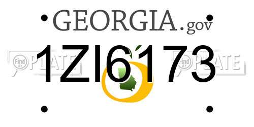 1ZI6173 Georgia License Plate