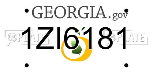 1ZI6181 Georgia License Plate