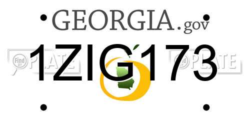 1ZIG173 Georgia License Plate