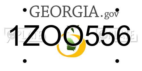 1ZOO556 Georgia License Plate