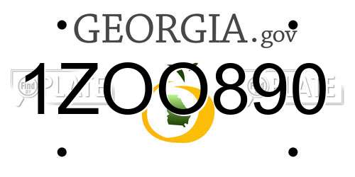 1ZOO890 Georgia License Plate