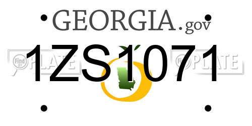 1ZS1071 Georgia License Plate