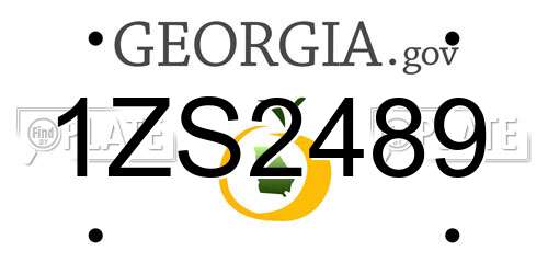 1ZS2489 Georgia License Plate