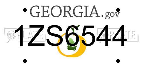 1ZS6544 Georgia License Plate