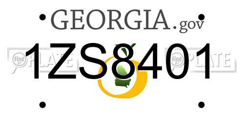 1ZS8401 Georgia License Plate