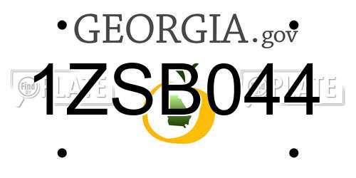 1ZSB044 Georgia License Plate