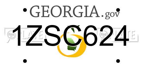 1ZSC624 Georgia License Plate