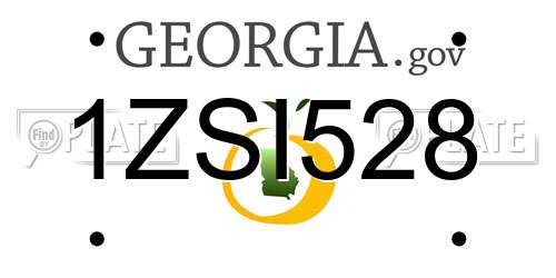 1ZSI528 Georgia License Plate