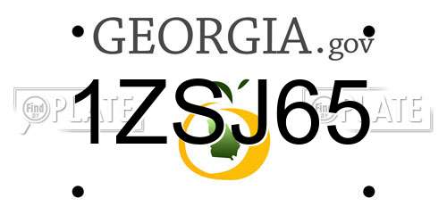 1ZSJ65 Georgia License Plate