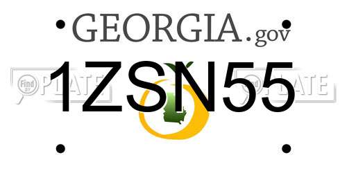 1ZSN55 Georgia License Plate