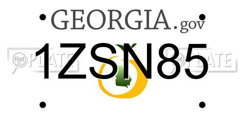 1ZSN85 Georgia License Plate
