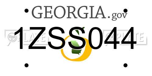 1ZSS044 Georgia License Plate