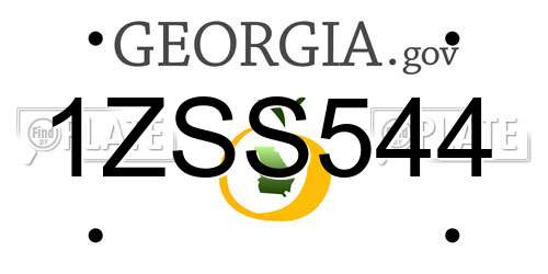 1ZSS544 Georgia License Plate