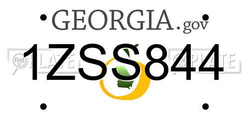 1ZSS844 Georgia License Plate