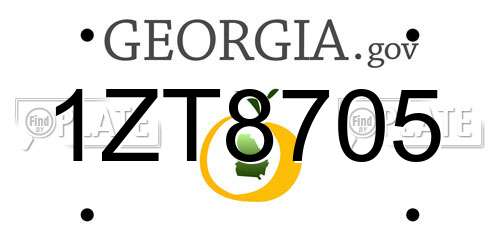 1ZT8705 Georgia License Plate