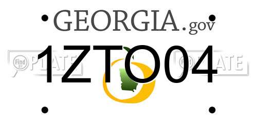 1ZTO04 Georgia License Plate