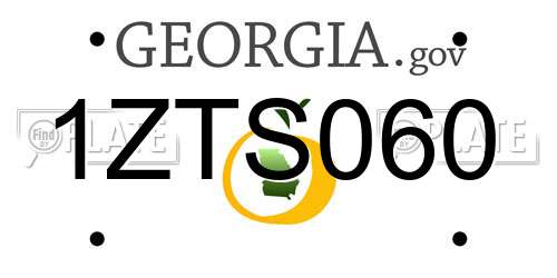 1ZTS060 Georgia License Plate