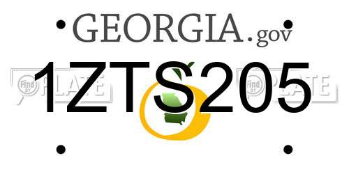 1ZTS205 Georgia License Plate