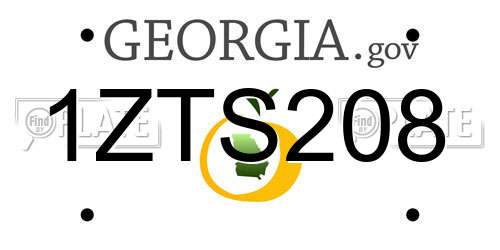 1ZTS208 Georgia License Plate