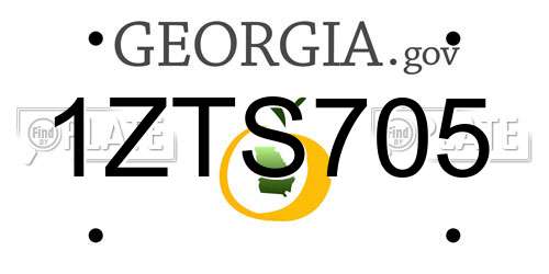 1ZTS705 Georgia License Plate