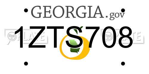 1ZTS708 Georgia License Plate