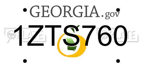 1ZTS760 Georgia License Plate