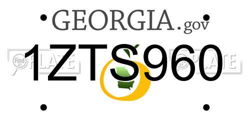 1ZTS960 Georgia License Plate
