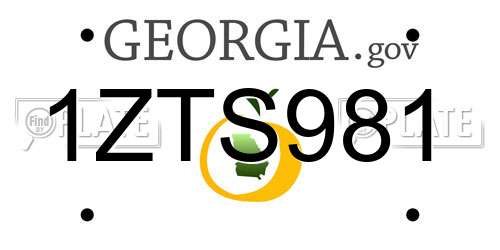 1ZTS981 Georgia License Plate