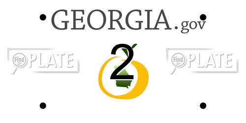 2 Georgia License Plate