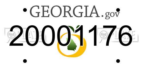 20001176 Georgia License Plate