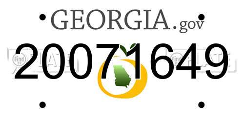 20071649 Georgia License Plate