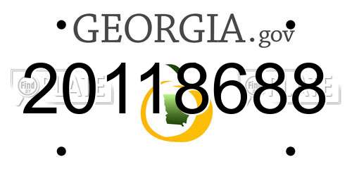 20118688 Georgia License Plate