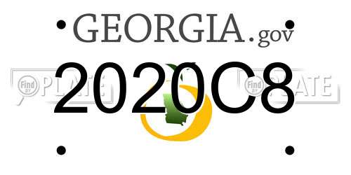 2020C8 Georgia License Plate