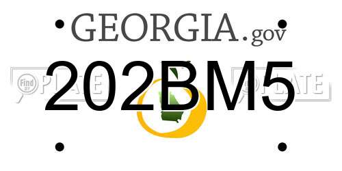 202BM5 Georgia License Plate