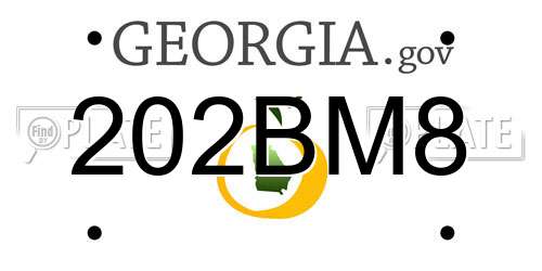 202BM8 Georgia License Plate