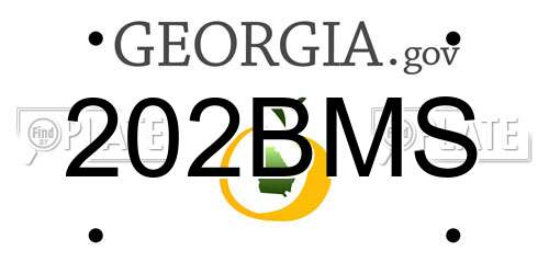 202BMS Georgia License Plate