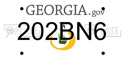 202BN6 Georgia License Plate