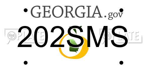 202SMS Georgia License Plate