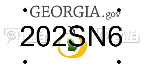 202SN6 Georgia License Plate