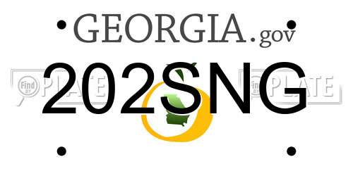 202SNG Georgia License Plate